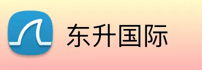 东升国际 logo